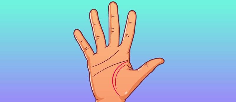 Как узнать длительность жизни по руке: обратите внимание на эти линии